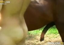 cavalo comendo viado