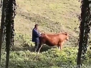 homem comendo uma vaca
