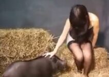 porco da pica gigante comendo mulher