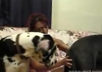 cães fudendo com mulheres