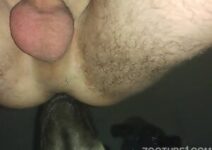 beijo cachorro