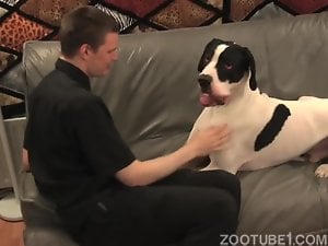 chupando penis de cachorro